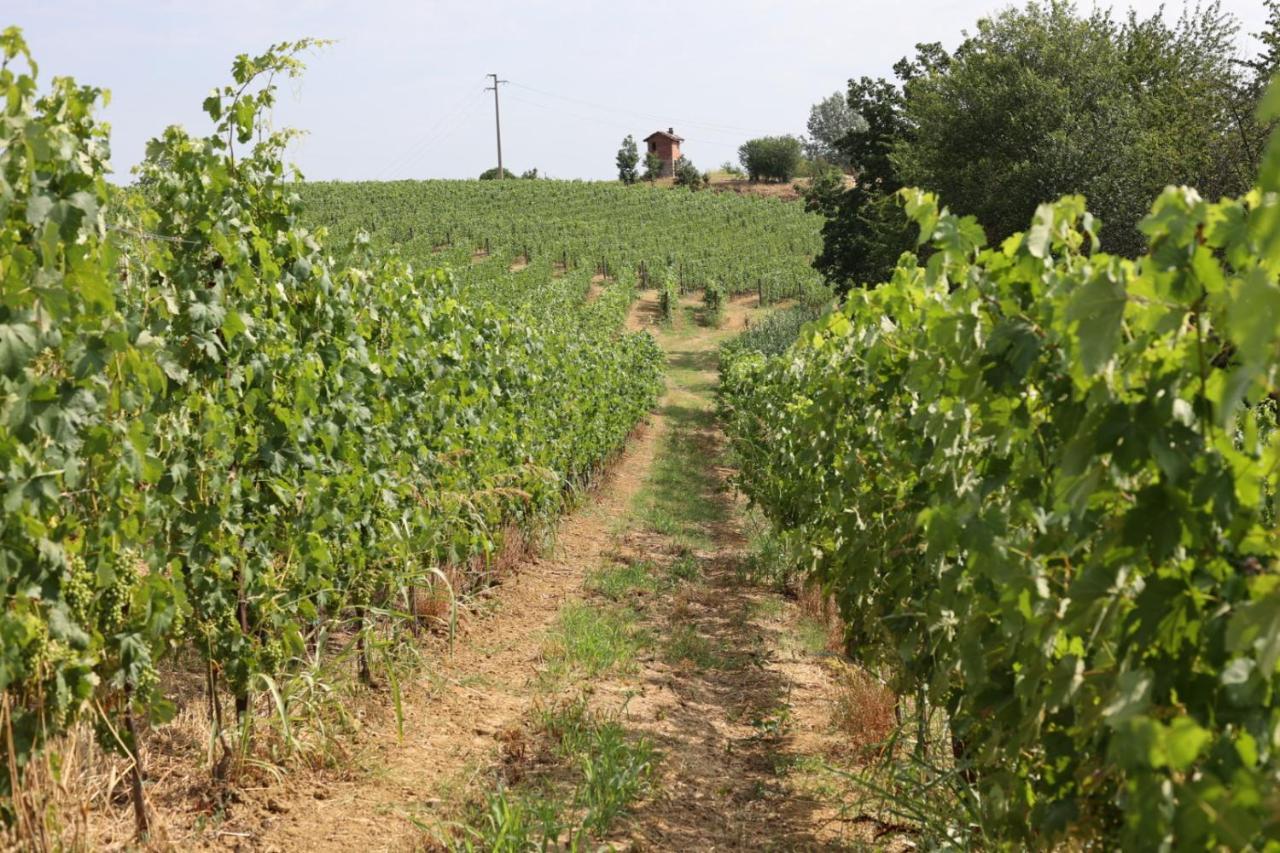 Braida Wine Resort Rocchetta Tanaro Экстерьер фото